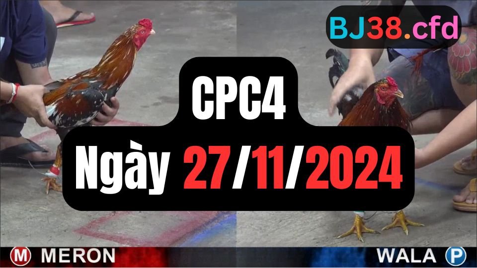 Trực tiếp thomo sảnh CPC4 ngày 27-11-2024