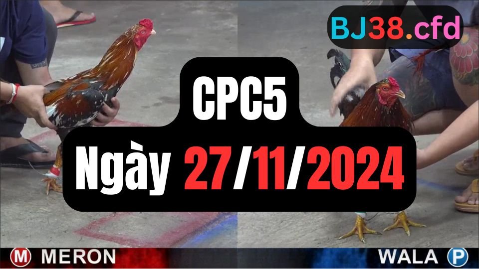 Trực tiếp thomo sảnh CPC5 ngày 27-11-2024